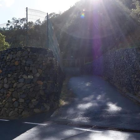 Complejo Rural Pajar De Bento Διαμέρισμα Agulo Εξωτερικό φωτογραφία